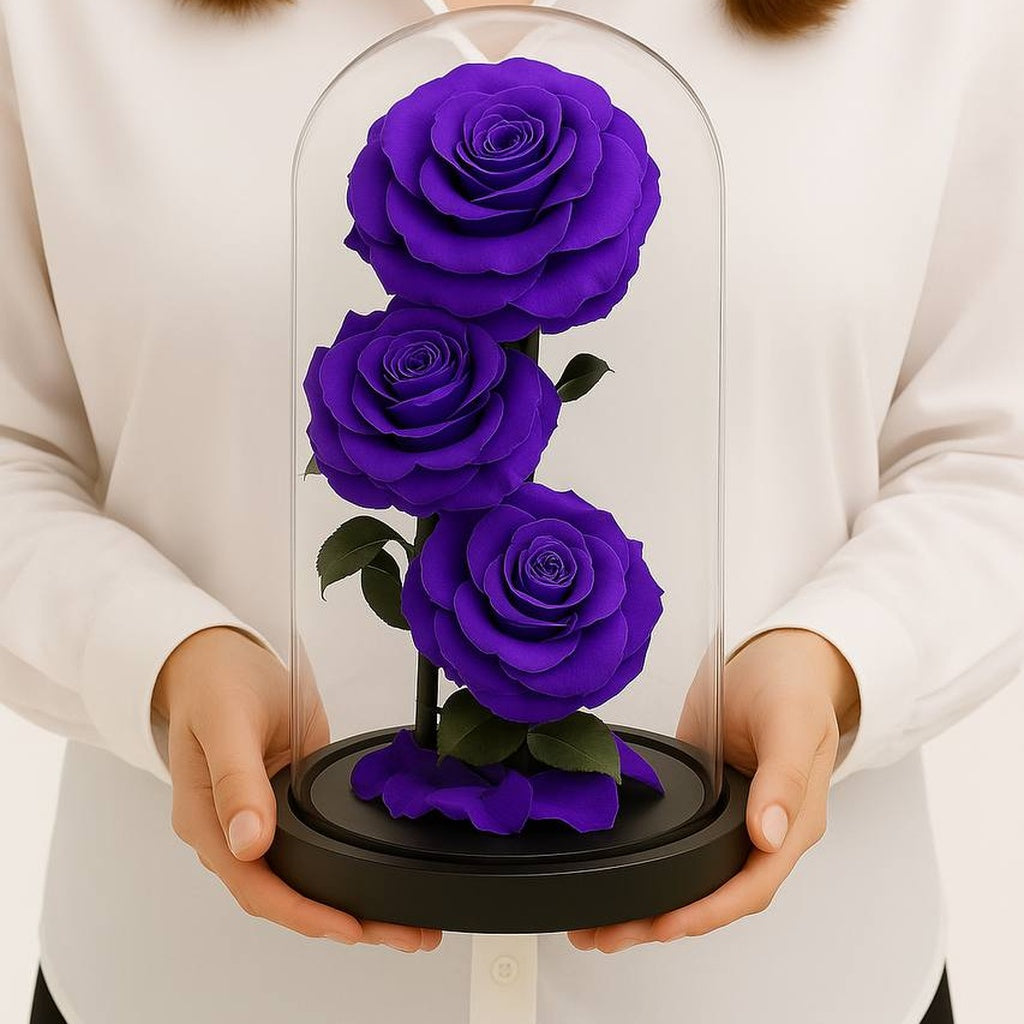 Purple forever roses under a glass dome held by a person wearing a white sweater.