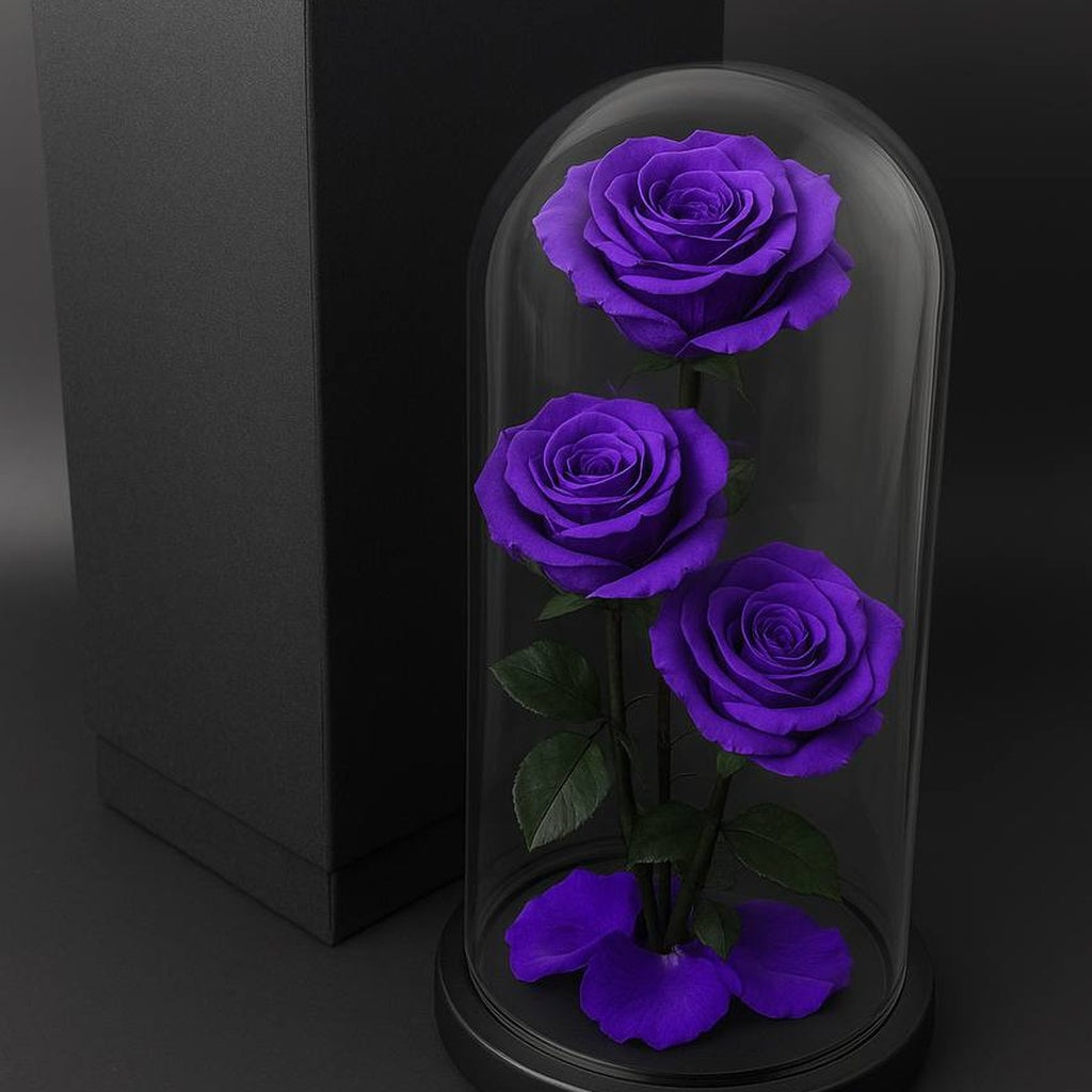 Purple forever roses inside a glass dome on a black background