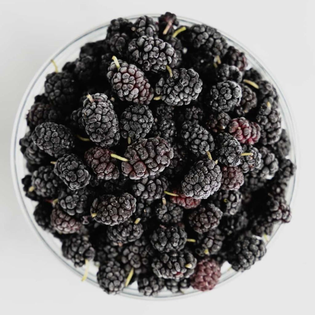 Freeze Dried Syrian Mulberry on a clear plate with a white background