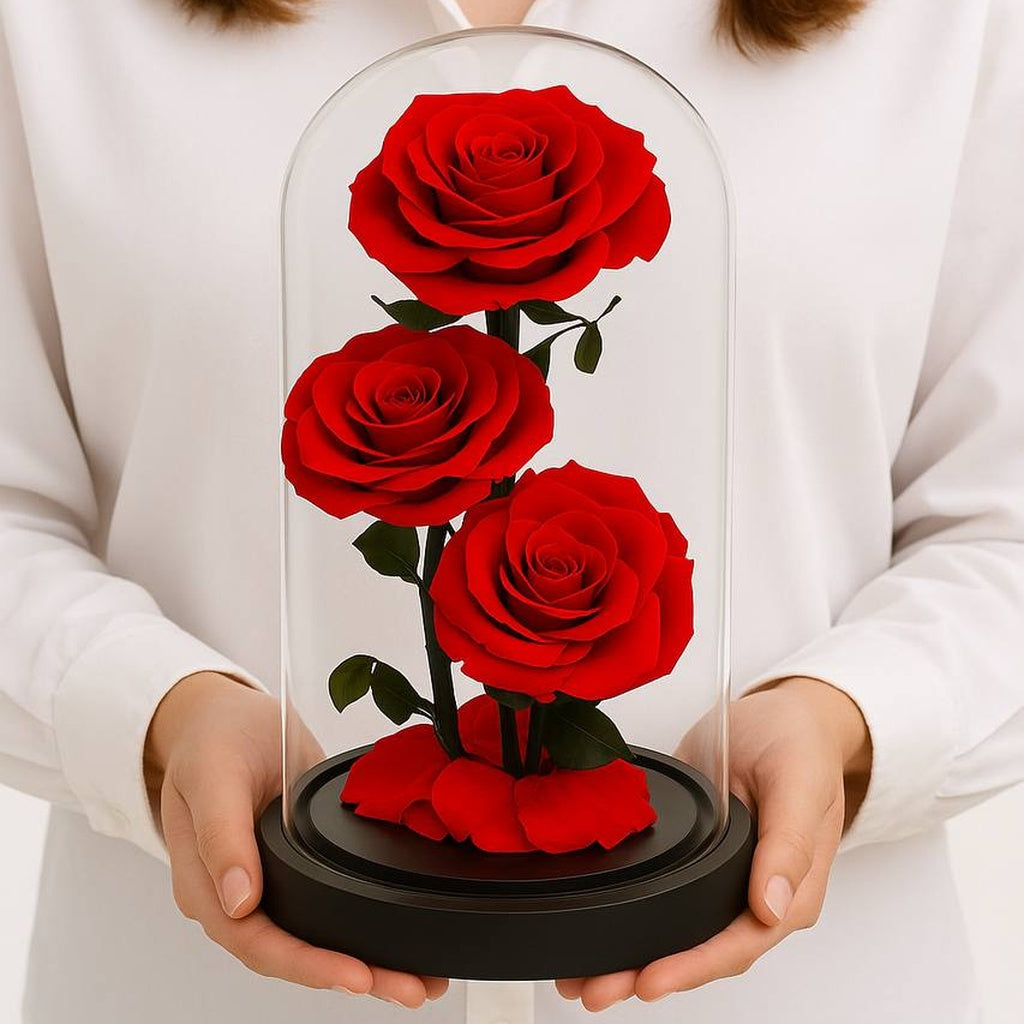 Three forever red roses under a glass dome held by a person wearing a white sweater.